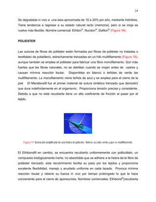 24

Se degradada in vivo a una tasa aproximada de 15 a 20% por año, mediante hidrólisis.
Tiene tendencia a regresar a su estado natural recto (memoria), pero si se moja se
vuelve más flexible. Nombre comercial: Ethilon®, Nurolon®, Dafilon® (Figura 18).


POLIESTER


Las suturas de fibras de poliéster están formadas por fibras de poliéster no tratadas o
tereftalato de polietileno, estrechamente trenzadas en un hilo multifilamento (Figura 19),
aunque también se emplea el poliéster para fabricar una fibra monofilamento. Son más
fuertes que las fibras naturales, no se debilitan cuando se mojan antes de usarse y
causan mínima reacción tisular.                 Disponibles en blanco o teñidas de verde las
multifilamento. La monofilamento viene teñida de azul y se emplea para el cierre de la
piel.     El Mersilene® fue el primer material de sutura sintético trenzado que demostró
que dura indefinidamente en el organismo. Proporciona tensión precisa y consistente.
Debido a que no está recubierta tiene un alto coeficiente de fricción al pasar por el
tejido.




    Figura 19. Ilustración amplificada de una hebra de poliester. Nótese su color verde y que es multifilamento.


El Ethibond® en cambio, se encuentra recubierto uniformemente con polibutilato, un
compuesto biológicamente inerte, no absorbible que se adhiere a la hebra de la fibra de
poliéster trenzado; este recubrimiento facilita su paso por los tejidos y proporciona
excelente flexibilidad, manejo y anudado uniforme en cada lazada. Provoca mínima
reacción tisular y retiene su fuerza in vivo por tiempo prolongado lo que la hace
conveniente para el cierre de aponeurosis. Nombres comerciales: Ethibond®(recubierta
 
