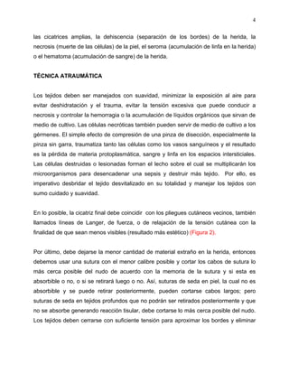 4

las cicatrices amplias, la dehiscencia (separación de los bordes) de la herida, la
necrosis (muerte de las células) de la piel, el seroma (acumulación de linfa en la herida)
o el hematoma (acumulación de sangre) de la herida.


TÉCNICA ATRAUMÁTICA


Los tejidos deben ser manejados con suavidad, minimizar la exposición al aire para
evitar deshidratación y el trauma, evitar la tensión excesiva que puede conducir a
necrosis y controlar la hemorragia o la acumulación de líquidos orgánicos que sirvan de
medio de cultivo. Las células necróticas también pueden servir de medio de cultivo a los
gérmenes. El simple efecto de compresión de una pinza de disección, especialmente la
pinza sin garra, traumatiza tanto las células como los vasos sanguíneos y el resultado
es la pérdida de materia protoplasmática, sangre y linfa en los espacios intersticiales.
Las células destruidas o lesionadas forman el lecho sobre el cual se multiplicarán los
microorganismos para desencadenar una sepsis y destruir más tejido. Por ello, es
imperativo desbridar el tejido desvitalizado en su totalidad y manejar los tejidos con
sumo cuidado y suavidad.


En lo posible, la cicatriz final debe coincidir con los pliegues cutáneos vecinos, también
llamados líneas de Langer, de fuerza, o de relajación de la tensión cutánea con la
finalidad de que sean menos visibles (resultado más estético) (Figura 2).


Por último, debe dejarse la menor cantidad de material extraño en la herida, entonces
debemos usar una sutura con el menor calibre posible y cortar los cabos de sutura lo
más cerca posible del nudo de acuerdo con la memoria de la sutura y si esta es
absorbible o no, o si se retirará luego o no. Así, suturas de seda en piel, la cual no es
absorbible y se puede retirar posteriormente, pueden cortarse cabos largos; pero
suturas de seda en tejidos profundos que no podrán ser retirados posteriormente y que
no se absorbe generando reacción tisular, debe cortarse lo más cerca posible del nudo.
Los tejidos deben cerrarse con suficiente tensión para aproximar los bordes y eliminar
 