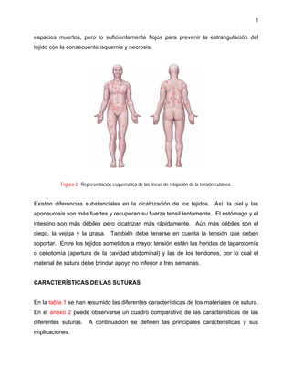 5

espacios muertos, pero lo suficientemente flojos para prevenir la estrangulación del
tejido con la consecuente isquemia y necrosis.




          Figura 2. Representación esquemática de las líneas de relajación de la tensión cutánea.


Existen diferencias substanciales en la cicatrización de los tejidos. Así, la piel y las
aponeurosis son más fuertes y recuperan su fuerza tensil lentamente. El estómago y el
intestino son más débiles pero cicatrizan más rápidamente. Aún más débiles son el
ciego, la vejiga y la grasa. También debe tenerse en cuenta la tensión que deben
soportar. Entre los tejidos sometidos a mayor tensión están las heridas de laparotomía
o celiotomía (apertura de la cavidad abdominal) y las de los tendones, por lo cual el
material de sutura debe brindar apoyo no inferior a tres semanas.


CARACTERÍSTICAS DE LAS SUTURAS


En la tabla 1 se han resumido las diferentes características de los materiales de sutura.
En el anexo 2 puede observarse un cuadro comparativo de las características de las
diferentes suturas.     A continuación se definen las principales características y sus
implicaciones.
 
