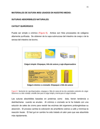 16
MATERIALES DE SUTURA MÁS USADOS EN NUESTRO MEDIO:
SUTURAS ABSORBIBLES NATURALES:
CATGUT QUIRÚRGICO
Puede ser simple o crómico (Figura 8). Ambos son hilos procesados de colágena
altamente purificada. Se obtienen de la capa submucosa del intestino de oveja o de la
serosa del intestino de bovino.
Catgut simple: Empaque, hilo de sutura y caja dispensadora
Catgut crómico o cromado: Empaque e hilo de sutura
Figura 8. Ilustración de caja dispensadora, empaques e hilos de sutura de las dos variedades existentes de catgut.
Obsérvese su color estándar, amarillo claro para el catgut simple y marrón para el catgut cromado.
Las suturas absorbibles basadas en proteínas como ésta, tienen tendencia a
deshilacharse cuando se anudan. Al crómico o cromado se le ha tratado con una
solución de sales de cromo para resistir las enzimas del organismo prolongándose su
absorción. El proceso cambia la coloración de amarillento cobrizo a café y minimiza la
reacción tisular. El fast gut en cambio ha sido tratado al calor para que sea absorbida
más rápidamente.
 