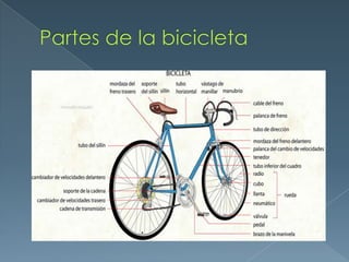 material inorgánico 