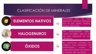 CLASIFICACIÓN DE MINERALES
ELEMENTOS NATIVOS
HALOGENUROS
ÓXIDOS
Formados por un solo
elemento químico. Ejemplos
son el oro, plata, platino,
azufre, diamante.
Son básicamente sales,
como la halita, que es la
sal que utilizamos en los
alimentos.
Se combinan metales con
oxígeno. Hay minerales tan
importantes como la
magnetita (óxido de hierro) o
la bauxita (de aluminio).
 