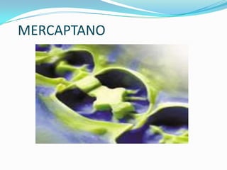 MERCAPTANO