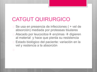 CATGUT QUIRURGICO
 Se usa en presencia de infecciones ( + vel de
absorción) mediada por proteasas tisulares
 Atacado por leucocitos enzimas  digieren
al material y hace que pierda su resistencia
 Estado biológico del paciente: variación en la
vel y restencia a la absorción

 