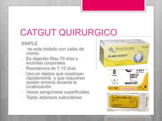 CATGUT QUIRURGICO
SIMPLE
 no esta tratado con sales de
cromo.
 Es digerido Max 70 días x
enzimas corporales
 Resistencia de 7-10 días
 Uso en tejidos que cicatrizan
rápidamente y que requieren
sostén mínimo durante la
cicatrización.
 Vasos sanguíneos superficiales
 Tejido adiposos subcutáneo
 