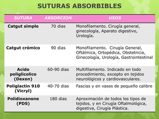 SUTURAS ABSORBIBLES
SUTURA ABSORCION USOS
Catgut simple 70 dias Monofilamento. Cirugía general,
ginecología, Aparato digestivo,
Urología.
Catgut crómico 90 dias Monofilamento. Cirugía General,
Oftálmica, Ortopédica, Obstetricia,
Ginecología, Urología, Gastrointestinal
Acido
poliglicolico
(Dexon)
60-90 dias Multifilamento. Indicado en todo
procedimiento, excepto en tejidos
neurológicos y cardiovasculares.
Poliglactin 910
(Vicryl)
40-70 dias Fascias y en vasos de pequeño calibre
Polidioxanone
(PDS)
180 dias Aproximación de todos los tipos de
tejidos, y en Cirugía Oftalmológica,
digestiva, Cirugía Plástica.
 