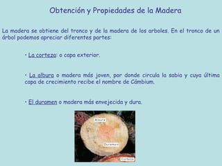 Obtención y Propiedades de la Madera

La madera se obtiene del tronco y de la madera de los arboles. En el tronco de un
árbol podemos apreciar diferentes partes:


        • La corteza: o capa exterior.


        • La albura o madera más joven, por donde circula la sabia y cuya última
        capa de crecimiento recibe el nombre de Cámbium.


        • El duramen o madera más envejecida y dura.
 