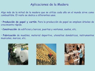 Aplicaciones de la Madera

Algo más de la mitad de la madera que se utiliza cada año en el mundo sirve como
combustible. El resto se dedica a diferentes usos.

• Producción de papel y cartón. Para la producción de papel se emplean árboles de
crecimiento rápido.
• Construcción de edificios y barcos, puertas y ventanas, suelos, etc.

• Fabricación de muebles, material deportivo, utensilios domésticos, instrumentos
musicales, marcos, etc.
 