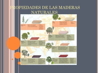 PROPIEDADES DE LAS MADERAS
        NATURALES
 