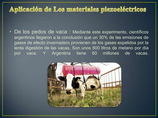 • De los pedos de vaca : Mediante este experimento, científicos
  argentinos llegaron a la conclusión que un 30% de las emisiones de
  gases de efecto invernadero provienen de los gases expelidos por la
  lenta digestión de las vacas. Son unos 800 litros de metano por día
  por vaca. Y Argentina tiene 60 millones de vacas.
 