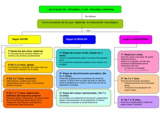 LAS ETAPAS DEL DESARROLLO DEL ESQUEMA CORPORAL


                                                                                      Se definen

                                          Como procesos de los que depende la maduración neurológica


                                                                                         son



      Según VAYER                                              Según LE BOULCH                                        Según AJURIAGUERRA




 1ª-Hasta los dos años: maternal.
 El niño pasa de los primeros reflejos a la            1ª- Etapa del cuerpo vivido. (Hasta los 3
 marcha y las primeras coordinaciones                  años).                                                       1ª- Hasta los 3 años.
                                                       Todo un comportamiento global. Conquista del esqueleto       Nivel del cuerpo vivenciado. No existe
                                                       de su                                                        diferencia entre lo
                                                       Yo, a través de la experiencia global y de la relación con   afectivo y lo cognitivo. Se dan dos
                                                       el adulto.                                                   procesos fundamentales para la
 2ª-De 2 a 5 años: global.                                                                                          maduración del niño:
 Conocimiento y utilización del cuerpo cada vez                                                                     o La marcha y el lenguaje.
 más precisa. Relación con el adulto.
                                                                                                                    o Acceso al espacio orientado
                                                       2ª- Etapa de discriminación perceptiva. (De
                                                       3 a 7 años).
3ª-De 5 a 7 años: transición                           Desarrollo progresivo de la orientación del esquema          2ª- De 3 a 7 años.
Diferenciación y análisis del cuerpo.                  corporal. Al final el niño es capaz de dirigir su atención   Nivel de discriminación perceptiva.
Independencia de los brazos. Conocimiento              sobre la totalidad de su cuerpo y sobre cada uno de los      o Perfeccionamiento de la motricidad
derecha-izquierda.                                     segmentos corporales.                                            global.
                                                                                                                    o Evolución de la percepción del
                                                                                                                        propio cuerpo.
       3ª- De 7 a 12 años.
4ª-De 7 a 11 años: elaboración                         3ª- Etapa del cuerpo representado. ( De 7 a
definitiva del esquema corporal.                       12 años).
Relajación global. Transposición del conocimiento      Se consigue una independencia (funcional y segmentaria
de sí al conocimiento de los demás. de la              global) y autoevaluación de los segmentos. Se tienen         3ª- De 7 a 12 años.
inteligencia, interpretación neuroafectiva y           medios para conquistar su propia autonomía.                  Nivel de la representación mental del
estructuración espacio-temporal.                                                                                    propio cuerpo. Evolución
 