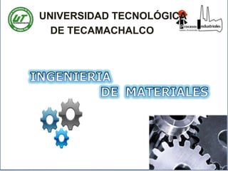 UNIVERSIDAD TECNOLÓGICA
  DE TECAMACHALCO
 
