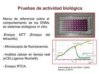 Pruebas de actividad biológica

Marco de referencia sobre el
comportamiento de los ENMs
en sistemas biológicos In vitro.

-Ensayo MTT       (Ensayo    del
tetrazolio).

- Microscopía de fluorescencia.

- Análisis celular en tiempo real
(xCELLigence Roche®).

- Ensayo RTCA.                      Dobrovolskaia M and Potter T (2009)
                                    Boitano, S (2011)
 