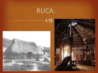 RUCA:
  
 