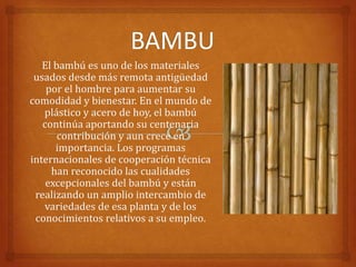 El bambú es uno de los materiales
 usados desde más remota antigüedad
    por el hombre para aumentar su
comodidad y bienestar. En el mundo de
   plástico y acero de hoy, el bambú
   continúa aportando su centenaria
       contribución y aun crece en
      importancia. Los programas
internacionales de cooperación técnica
     han reconocido las cualidades
    excepcionales del bambú y están
 realizando un amplio intercambio de
   variedades de esa planta y de los
 conocimientos relativos a su empleo.
 