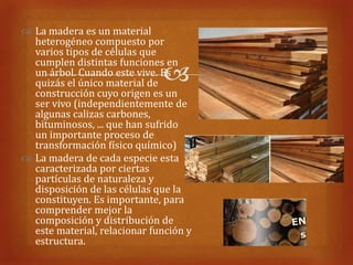  La madera es un material
  heterogéneo compuesto por
  varios tipos de células que
  cumplen distintas funciones en
                              
  un árbol. Cuando este vive. Es
  quizás el único material de
  construcción cuyo origen es un
  ser vivo (independientemente de
  algunas calizas carbones,
  bituminosos, ... que han sufrido
  un importante proceso de
  transformación físico químico)
 La madera de cada especie esta
  caracterizada por ciertas
  partículas de naturaleza y
  disposición de las células que la
  constituyen. Es importante, para
  comprender mejor la
  composición y distribución de
  este material, relacionar función y
  estructura.
 