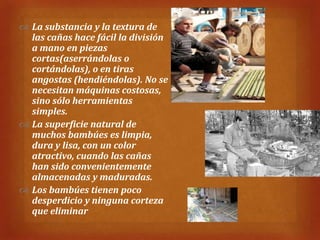  La substancia y la textura de
  las cañas hace fácil la división
  a mano en piezas
  cortas(aserrándolas o
  cortándolas), o en tiras
  angostas (hendiéndolas). No se
  necesitan máquinas costosas,
  sino sólo herramientas
  simples.
 La superficie natural de
  muchos bambúes es limpia,
  dura y lisa, con un color
  atractivo, cuando las cañas
  han sido convenientemente
  almacenadas y maduradas.
 Los bambúes tienen poco
  desperdicio y ninguna corteza
  que eliminar
 