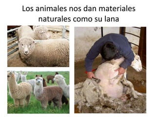 Para construir casas, muebles y toda clase de objetos.
La celulosa se utiliza para hacer hojas de papel.