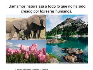 Llamamos naturaleza a todo lo que no ha sido
creado por los seres humanos.