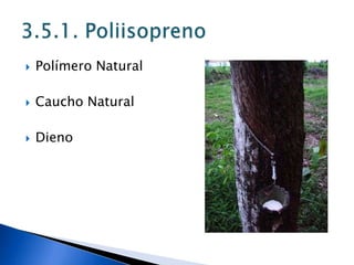    Polímero Natural

   Caucho Natural

   Dieno
 