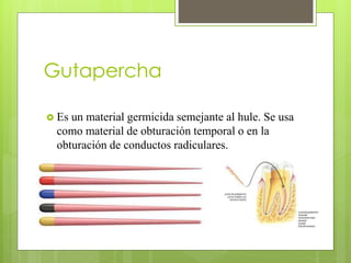 Gutapercha
 Es un material germicida semejante al hule. Se usa
como material de obturación temporal o en la
obturación de conductos radiculares.
 