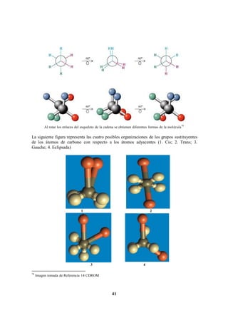 79
Imagen tomada de Referencia 14 CDROM
41
41
Al rotar los enlaces del esqueleto de la cadena se obtienen diferentes formas de la molécula79
La siguiente figura representa las cuatro posibles organizaciones de los grupos sustituyentes
de los átomos de carbono con respecto a los átomos adyacentes (1. Cis; 2. Trans; 3.
Gauche; 4. Eclipsada)
1 2
3 4
 
