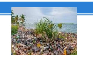 OBJETOS QUE CONTAMINAN EL AMBIENTE 