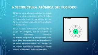 6.3ESTRUCTURA ATÓMICA DEL FOSFORO
El fósforo es un elemento químico. Su símbolo
es P y su número atómico es el 15. El fósforo
es importante para la agricultura, ya que
forma los fosfatos empleados en la producción
de fertilizantes.
Es un no metal multivalente perteneciente al
grupo del nitrógeno, que se encuentra en
la naturaleza combinado
en fosfatos inorgánicos y en organismos vivos,
pero nunca en estado nativo. Es muy reactivo y
se oxida espontáneamente en contacto con
el oxígeno atmosférico emitiendo luz, dando
nombre al fenómeno de la fosforescencia. 7
 