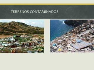 TERRENOS CONTAMINADOS
 