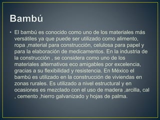 • El bambú es conocido como uno de los materiales más
versátiles ya que puede ser utilizado como alimento,
ropa ,material para construcción, celulosa para papel y
para la elaboración de medicamentos. En la industria de
la construcción , se considera como uno de los
materiales alternativos eco amigables por excelencia,
gracias a su flexibilidad y resistencia. En México el
bambú es utilizado en la construcción de viviendas en
zonas rurales. Es utilizado a nivel estructural y en
ocasiones es mezclado con el uso de madera ,arcilla, cal
, cemento ,hierro galvanizado y hojas de palma.
 