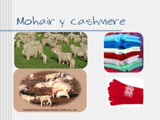 Mohair y cashmere
               





 