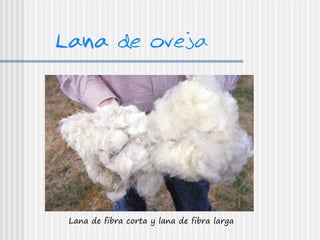 Lana de oveja




 Lana de fibra corta y lana de fibra larga
 