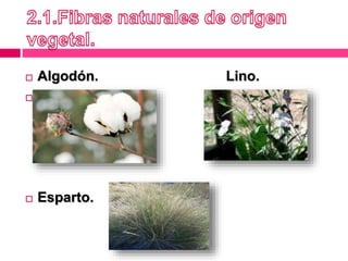  Algodón. Lino.

 Esparto.
 