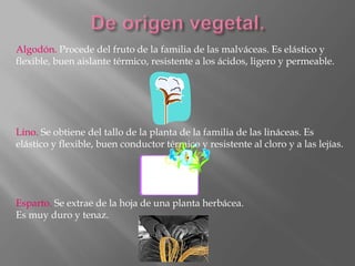 Algodón. Procede del fruto de la familia de las malváceas. Es elástico y
flexible, buen aislante térmico, resistente a los ácidos, ligero y permeable.
Lino. Se obtiene del tallo de la planta de la familia de las lináceas. Es
elástico y flexible, buen conductor térmico y resistente al cloro y a las lejías.
Esparto. Se extrae de la hoja de una planta herbácea.
Es muy duro y tenaz.
 