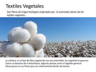 Textiles Vegetales
Son fibras de origen biológico originadas por el acomodo celular de los
tejidos vegetales.
La celulosa, es el tipo de fibra vegetal de uso mas extendido, los vegetales lo generan
Como un desecho de la fotosíntesis. Algunas plantas como el algodón generan
Fibras puras en sus flores que son relativamente fáciles de extraer.
 