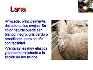 LanaLana
•Procede, principalmente,Procede, principalmente,
del pelo de las ovejas. Sudel pelo de las ovejas. Su
color natural puede sercolor natural puede ser
blanco, negro, gris pardo oblanco, negro, gris pardo o
amarillento, pero se tiñeamarillento, pero se tiñe
con facilidad.con facilidad.
•Ventajas: es muy elásticaVentajas: es muy elástica
y bastante resistente a lay bastante resistente a la
acción de los ácidos.acción de los ácidos.
 