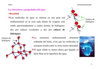 Tema 1. Fuerzas intermoleculares
21
La estructura y propiedades del agua
>Densidad
Las moléculas de agua se enlazan en una gran red
tridimensional en la cual cada átomo de oxígeno está
unido aproximadamente a cuatro átomos de hidrógeno,
dos por enlaces covalentes y dos por enlaces de
hidrógeno.
La estructura tridimensional altamente
ordenada del hielo, evita que las moléculas se
acerquen mucho entre sí, tiene menor densidad!
El agua sólida es menos densa que líquida: el
hielo flota en la superficie del agua.
Enlaces de
hidrógeno
Enlaces de
hidrógeno
 