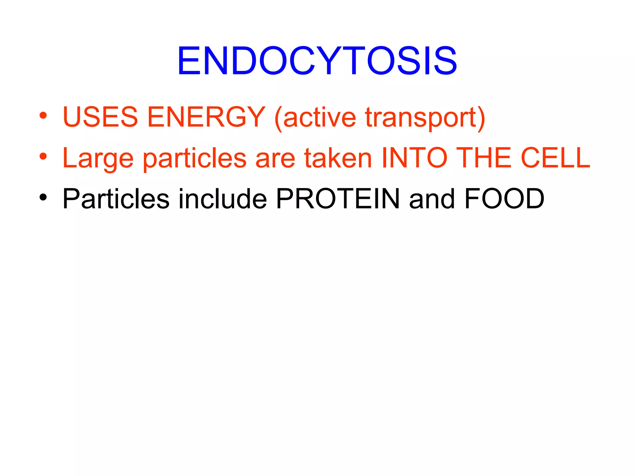 ENDOCYTOSIS
• USES ENERGY (active transport)
• Large particles are taken INTO THE CELL
• Particles include PROTEIN and FOOD
 