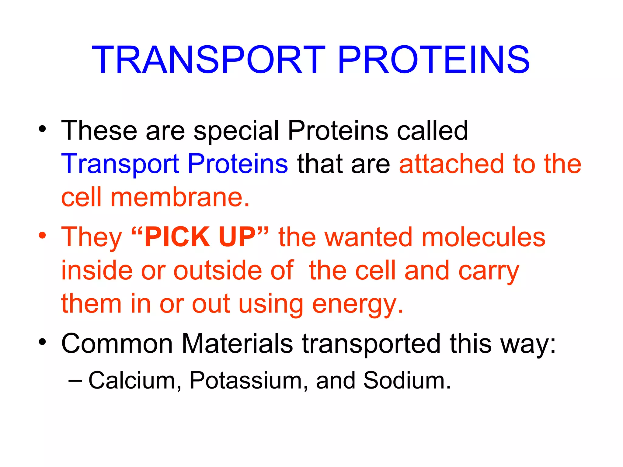 TRANSPORT PROTEINS
• These are special Proteins called
Transport Proteins that are attached to the
cell membrane.
• They “PICK UP” the wanted molecules
inside or outside of the cell and carry
them in or out using energy.
• Common Materials transported this way:
– Calcium, Potassium, and Sodium.
 