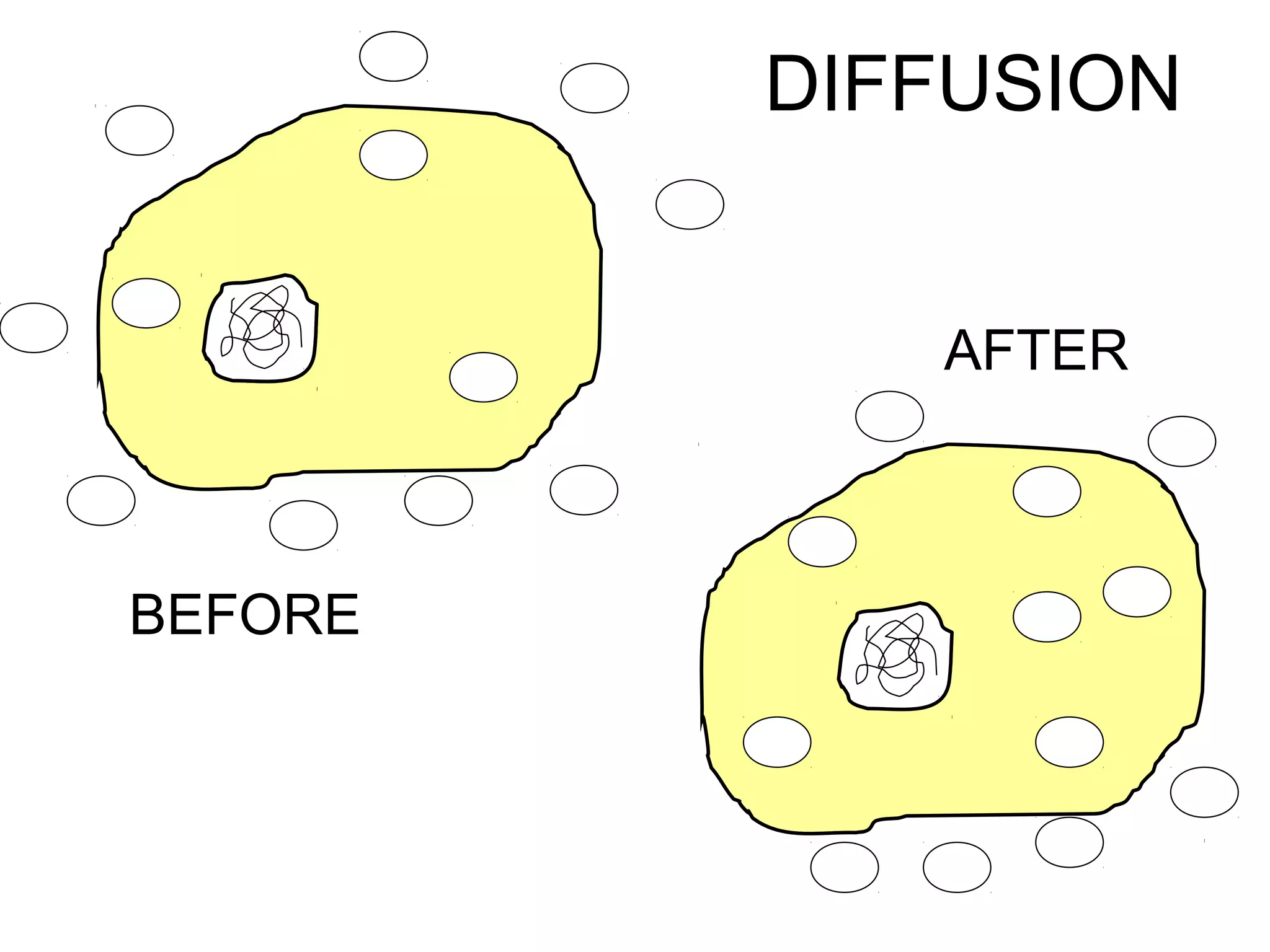 BEFORE
AFTER
DIFFUSION
 