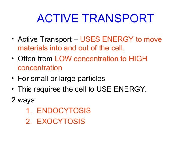 ap biology cells have kinetic energy Inherent kinetic energy of random motion is required to move the molecules the if the water potential of a cell does not equal the water potential of its. ap biology cells have kinetic energy Inherent kinetic energy of random motion is required to move the molecules the if the water potential of a cell does not equal the water potential of its.