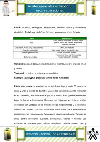 Efecto: diurético, astringente, expectorante, sedante, tónico y estimulante
circulatorio. En la fragancia leñosa del cedro se encuentra el eco del valor.
Usos Aplicaciones
Piel
Acné, caspa, dermatitis, eczema, pieles
grasas, caída del cabello, erupciones
cutáneas, ulceras
Circulación, muscular y articulaciones Artritis, reumatismo
Aparato respiratorio Bronquitis, catarro, congestión, tos.
Aparato genitourinario Cistitis, leucorrea, prurito
Sistema nervioso
Tensión nerviosa y enfermedades
relacionadas con el estrés.
Combina bien con: benjui, bergamota, ciprés, incienso, enebro, lavanda, limón
y romero.
Toxicidad: no tóxico, no irritante y no sensibiliza.
Eucalipto (Eucalyptus globulus) familia de las mirtáceas:
Fitoterapia y usos: el eucalipto es un árbol que llega a medir 70 metros de
altura y unos 2 metros de diámetro. Una de las características más relevantes
es su “heterofia”, esto quiere decir que en el mismo árbol pueden presentarse
hojas de formas y dimensiones diferentes. Las hojas que son ricas en aceites
esenciales son utilizadas en la industria de los medicamentos y la confitería,
además se emplea por sus cualidades medicinales para enfermedades
respiratorias, las hojas secas se fuman como tabaco para el asma. También se
utiliza contra infecciones cutáneas, quemaduras, ulceras y heridas. Los
extractos se emplean para dolores articulares, calienta manos, pies y
 