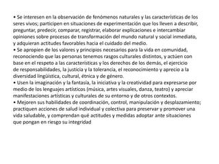 • Se interesen en la observación de fenómenos naturales y las características de los
seres vivos; participen en situaciones de experimentación que los lleven a describir,
preguntar, predecir, comparar, registrar, elaborar explicaciones e intercambiar
opiniones sobre procesos de transformación del mundo natural y social inmediato,
y adquieran actitudes favorables hacia el cuidado del medio.
• Se apropien de los valores y principios necesarios para la vida en comunidad,
reconociendo que las personas tenemos rasgos culturales distintos, y actúen con
base en el respeto a las características y los derechos de los demás, el ejercicio
de responsabilidades, la justicia y la tolerancia, el reconocimiento y aprecio a la
diversidad lingüística, cultural, étnica y de género.
• Usen la imaginación y la fantasía, la iniciativa y la creatividad para expresarse por
medio de los lenguajes artísticos (música, artes visuales, danza, teatro) y apreciar
manifestaciones artísticas y culturales de su entorno y de otros contextos.
• Mejoren sus habilidades de coordinación, control, manipulación y desplazamiento;
practiquen acciones de salud individual y colectiva para preservar y promover una
vida saludable, y comprendan qué actitudes y medidas adoptar ante situaciones
que pongan en riesgo su integridad
 