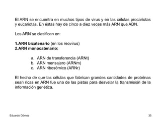 El ARN se encuentra en muchos tipos de virus y en las células procariotas
y eucariotas. En éstas hay de cinco a diez veces más ARN que ADN.
Los ARN se clasifican en:
1. ARN bicatenario (en los reovirus)
2. ARN monocatenario:
a.  ARN de transferencia (ARNt)
b.  ARN mensajero (ARNm)
c.  ARN ribosómico (ARNr)
El hecho de que las células que fabrican grandes cantidades de proteínas
sean ricas en ARN fue una de las pistas para desvelar la transmisión de la
información genética.
Eduardo Gómez 35
 
