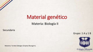 Material genético
Materia: Biología II
Secundaria
Grupo: 1 A y 1 B
Maestra: Yuridia Edwiges Grijalva Mungarro.
 