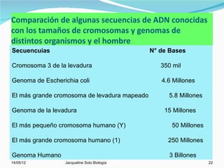 Comparación de algunas secuencias de ADN conocidas
con los tamaños de cromosomas y genomas de
distintos organismos y el hombre
Secuencuias                                   N° de Bases

Cromosoma 3 de la levadura                       350 mil

Genoma de Escherichia coli                       4.6 Millones

El más grande cromosoma de levadura mapeado        5.8 Millones

Genoma de la levadura                             15 Millones

El más pequeño cromosoma humano (Y)                 50 Millones

El más grande cromosoma humano (1)                 250 Millones

Genoma Humano                                       3 Billones
14/05/12         Jacqueline Soto Biología                         22
 