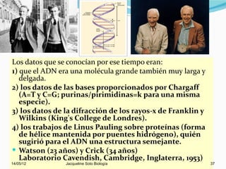 Los datos que se conocían por ese tiempo eran:
1) que el ADN era una molécula grande también muy larga y
   delgada.
2) los datos de las bases proporcionados por Chargaff
   (A=T y C=G; purinas/pirimidinas=k para una misma
   especie).
3) los datos de la difracción de los rayos-x de Franklin y
   Wilkins (King's College de Londres).
4) los trabajos de Linus Pauling sobre proteínas (forma
   de hélice mantenida por puentes hidrógeno), quién
   sugirió para el ADN una estructura semejante.
 Watson (23 años) y Crick (34 años)
   Laboratorio Cavendish, Cambridge, Inglaterra, 1953)
14/05/12        Jacqueline Soto Biología                     37
 