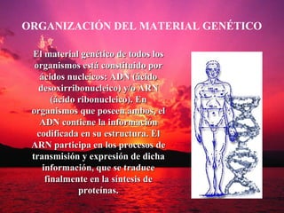 ORGANIZACIÓN DEL MATERIAL GENÉTICO

 El material genético de todos los
  organismos está constituido por
    ácidos nucleicos: ADN (ácido
   desoxirribonucleico) y/o ARN
        (ácido ribonucleico). En
 organismos que poseen ambos, el
    ADN contiene la información
   codificada en su estructura. El
 ARN participa en los procesos de
 transmisión y expresión de dicha
     información, que se traduce
      finalmente en la síntesis de
               proteínas.
 