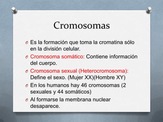Cromosomas
O Es la formación que toma la cromatina sólo
en la división celular.
O Cromosoma somático: Contiene información
del cuerpo.
O Cromosoma sexual (Heterocromosoma):
Define el sexo. (Mujer XX)(Hombre XY)
O En los humanos hay 46 cromosomas (2
sexuales y 44 somáticos)
O Al formarse la membrana nuclear
desaparece.
 