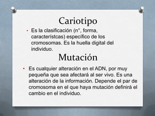Cariotipo
• Es la clasificación (n°, forma,
característcas) específico de los
cromosomas. Es la huella digital del
individuo.
Mutación
• Es cualquier alteración en el ADN, por muy
pequeña que sea afectará al ser vivo. Es una
alteración de la información. Depende el par de
cromosoma en el que haya mutación definirá el
cambio en el individuo.
 